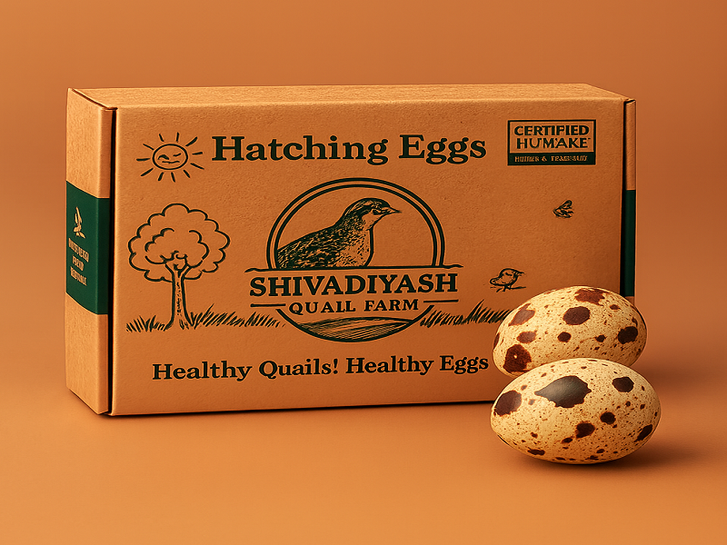 product 1.png product 1.png